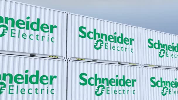 Schneider Electric Logo Welthandel Bewegung Schiffscontainer Mit Logo Und Flagge — Stockvideo