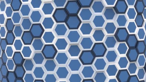 Wallpaper Animation Random Hexagon Motion Background — Stock Video