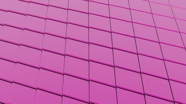 Pink Dynamic Geometric Pattern Wallpaper Animation — Stok Video