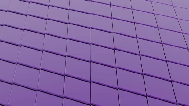 Патч Purple Digital Копирование Пространства Animation — стоковое видео