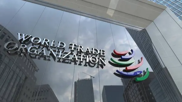 Dünya Ticaret Örgütü WTO Kristal Açık Kârı: Şirket Cam Ofisleri ve Borsaları