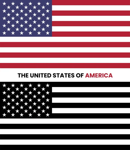 Verenigde Staten Van Amerika Verenigde Staten Van Amerika Vlag — Stockvector