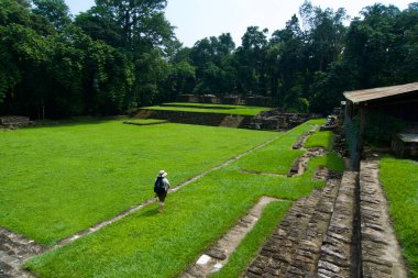 Guatemala 'daki Quirigua arkeoloji sahasının görüntüsü, UNESCO' nun dünya mirası Maya yıkıntısı