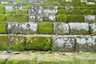 Guatemala 'daki Quirigua arkeoloji sahasının görüntüsü, UNESCO' nun dünya mirası Maya yıkıntısı