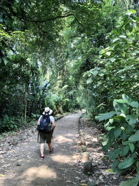 Guatemala 'daki Quirigua arkeoloji sahasının görüntüsü, UNESCO' nun dünya mirası Maya yıkıntısı
