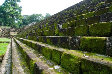 Guatemala 'daki Quirigua arkeoloji sahasının görüntüsü, UNESCO' nun dünya mirası Maya yıkıntısı