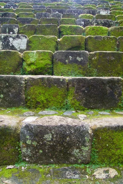 Guatemala 'daki Quirigua arkeoloji sahasının görüntüsü, UNESCO' nun dünya mirası Maya yıkıntısı