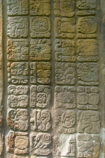 Mayská Kamenná Památka Quirigua Archeologické Naleziště Guatemale — Stock fotografie