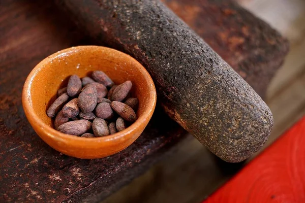 stock image Raw cacao beans and mayan metate grinding stone