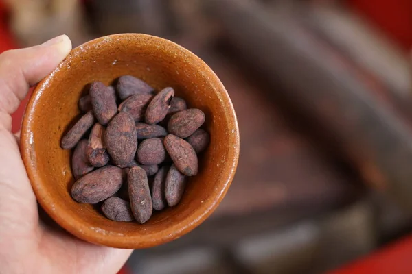 Stock image Raw cacao beans and mayan metate grinding stone