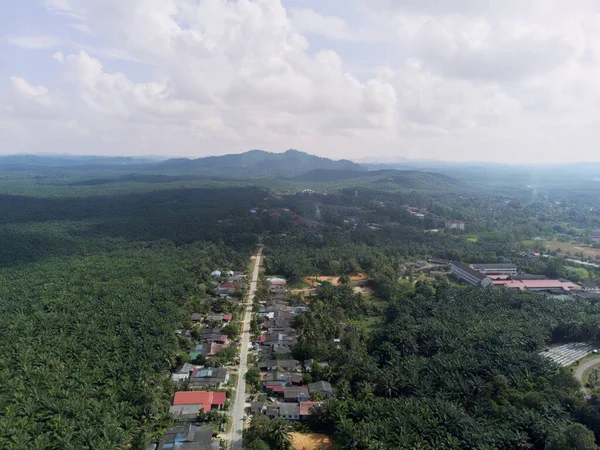 Felda Kerteh 'in Dungun, Terengganu' daki yüksek açılı görüntüsü. Yeşil tepeler ve palmiye yağı bitkileri üzerinde.