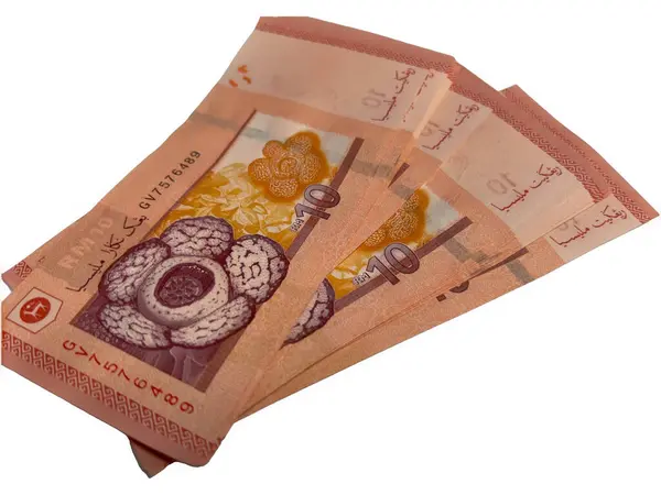 Malezya Ringgit para birimi beyaz arkaplan üzerine 10 Ringgit notu şeklinde.