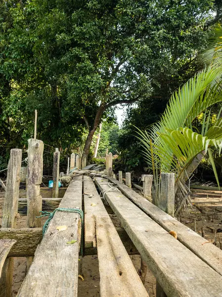 Dungun, Terengganu 'da ağaçlarla çevrili sakin bir nehir..