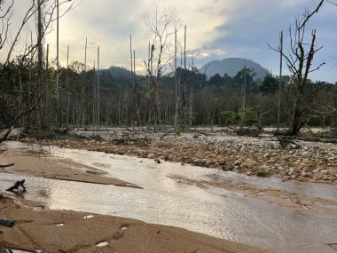Kuala Berang, Terengganu 'da gökyüzü, ağaçlar ve doğa manzarası.