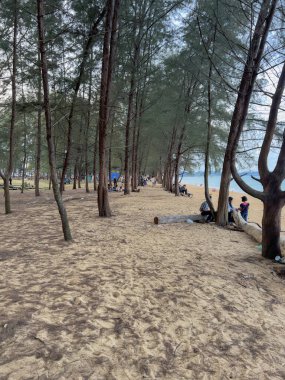 Kemama, Terengganu 'da güzel bir arka planı olan güzel bir deniz ve sahil..