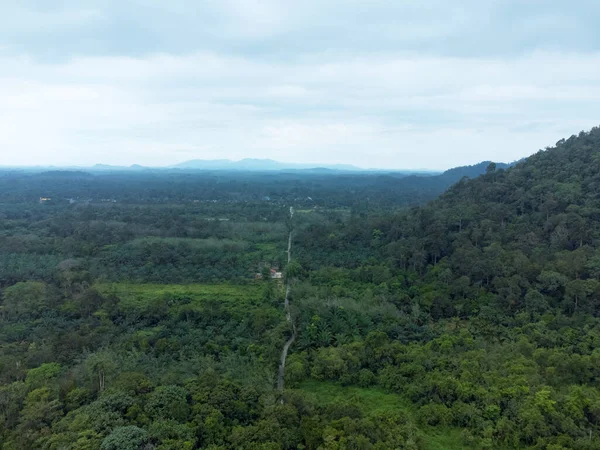 stock image Aerial drone view of the green forest and mountain at Kuala Berang, Terengganu.