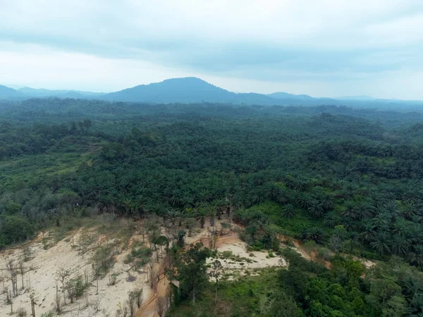 Kuala Berang, Terengganu 'daki ormandaki güzel tropikal manzaranın havadan görüntüsü..