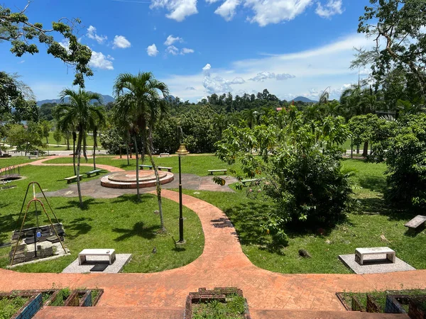 Kuala Berang, Terengganu 'daki ağaçların, ağaçların ve ağaçların olduğu güzel parkın manzarası..