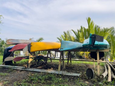 Dungun, Terengganu 'da nehir ağzında sıra sıra dizilmiş renkli kanolar.