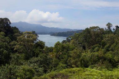 Bereketli bir tropikal yağmur ormanının panoramik manzarası. Huzurlu bir göl ve parçalı bulutlu bir gökyüzünün altındaki uzak dağlar..