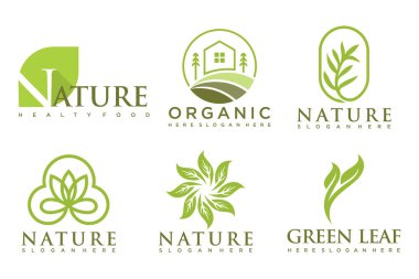 Modern doğal ve organik ürünler logo şablonları ve simgeleri