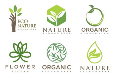 Modern doğal ve organik ürünler logo şablonları ve simgeleri