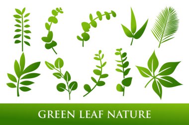 Set of green leaf logo design inspiration vector icons clipart