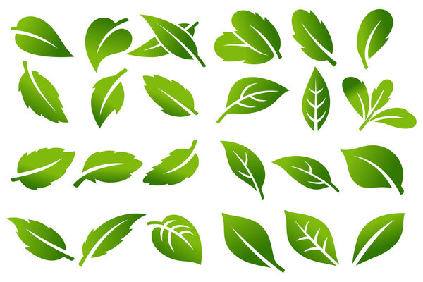 Tree Leaf Vector Icon Set Logo Design Eco Friendly Concept — Stock Vector