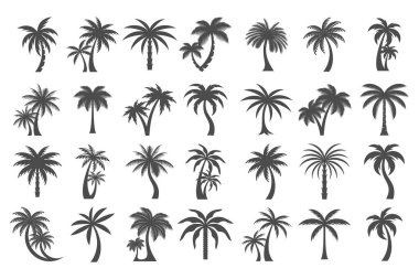 Hindistan cevizi palmiye ağacı simgesi logo dizaynı, basit stil palmiye ağacı silueti. vektör illüstrasyonu