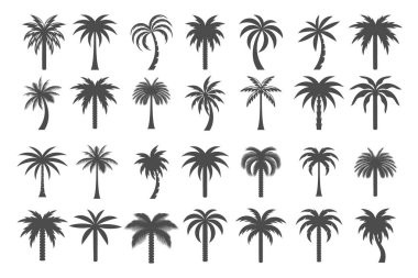 Minimalist Hurma ağacı simgesi Logo tasarım şablonu. vektör illüstrasyonu