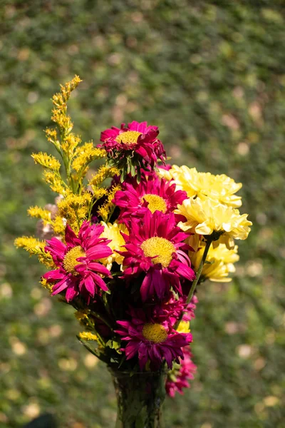 Piękne Astry Kompozycja Kwiatów Kolorowe Tło Kwiatów Zamknij Zdjęcie — Zdjęcie stockowe