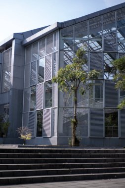 Bogor Botanik Bahçesinde Anggrek veya Orkide Evi