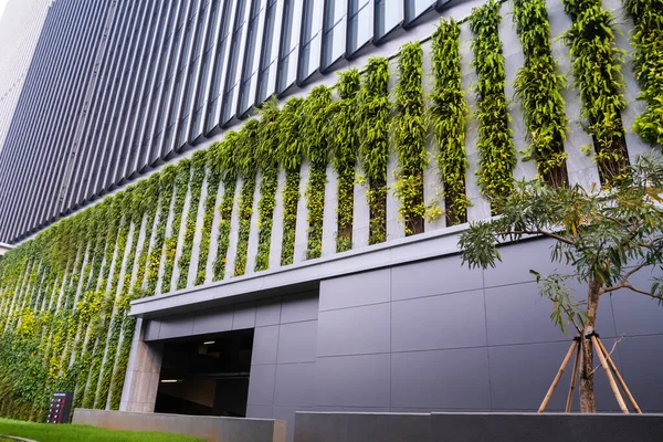 Green Building Plants Growing Facade Ecology Green Living City — Stock Photo, Image