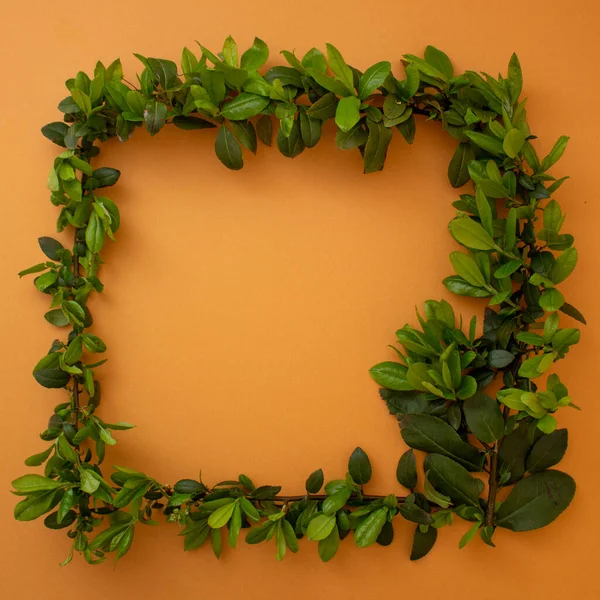 stock image Creative frame made of green leaves. Flat lay. Nature minimal concept.