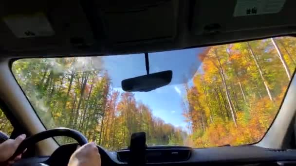 Halad Előre Autó Ősszel Színes Erdő Másolás Tér — Stock videók