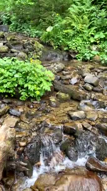 Berge Fluss Bach Hautnah Natur Schönheit — Stockvideo