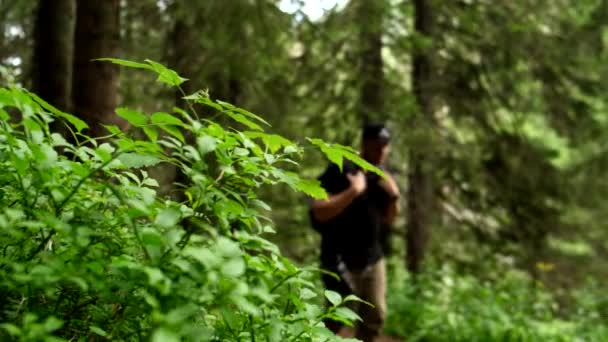 Мандрівник Рюкзаком Ходить Дорозі Украинському Карпатському Лісі — стокове відео