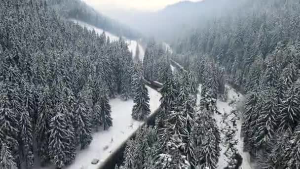Vista Aérea Carretera Nevada Invierno Las Montañas Los Cárpatos Ucrania — Vídeo de stock