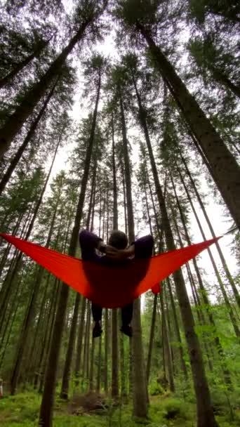 Happy Man Hammock Forest Having Relaxing Time — Stock Video