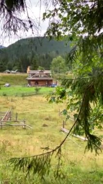 Tahta köy evi, etrafında kaz dolaşıyor.