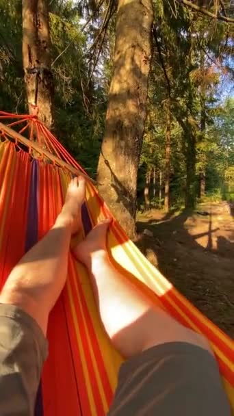 Punto Vista Hombre Que Enfría Sitio Que Acampa Hamaca Vacaciones — Vídeos de Stock