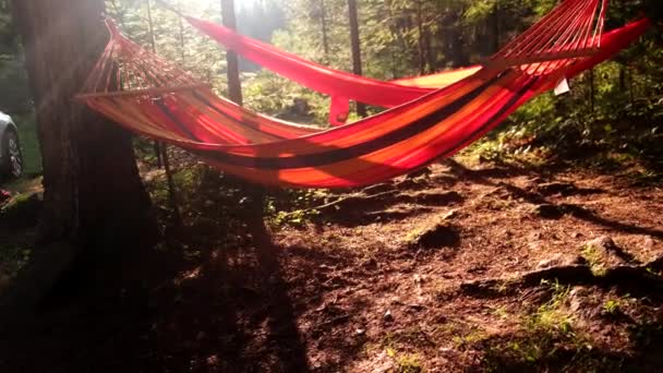 Camping Place Suv Voiture Avec Hamacs Dans Forêt Coucher Soleil — Video