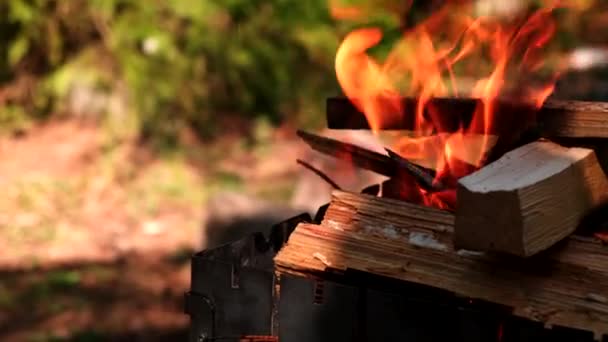 Kochen Freien Kohlenbecken Aus Nächster Nähe — Stockvideo