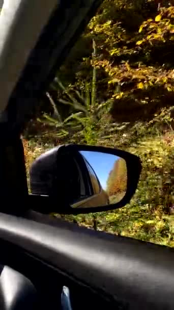 車に乗るベイ秋のカラフルな森のコピースペース — ストック動画