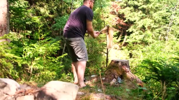 キャンプ場で男が夏の斧で丸太を切ってる — ストック動画