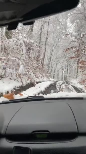 車を冬のトレイルビューで内側から運転する — ストック動画
