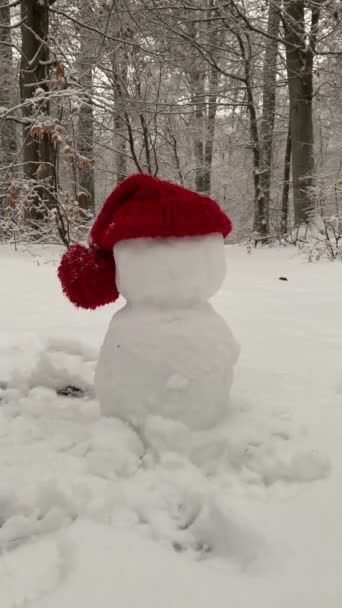 Женщина Делающая Снеговика Крупным Планом Надела Красную Шляпу — стоковое видео