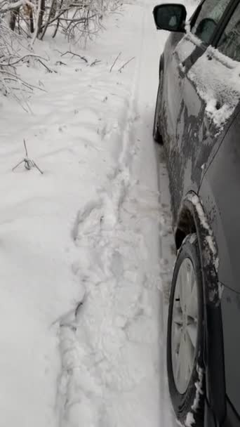 Autó Erdei Havas Ösvény Közúti Téli Szezonban — Stock videók