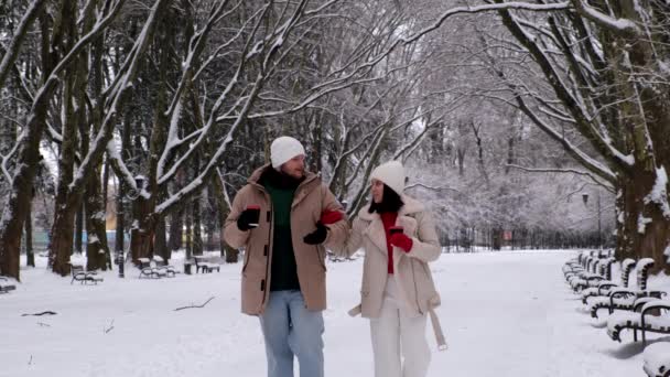 Para Mając Randkę Miejskim Parku Publicznym Poszła Spacer Zimowy Śnieżny — Wideo stockowe