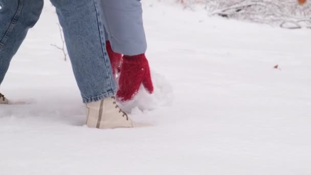 Kardan Adam Yapan Kadın Kartopunu Yuvarlıyor — Stok video